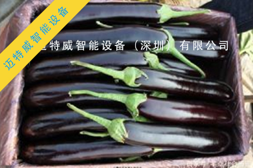 纸箱套袋机